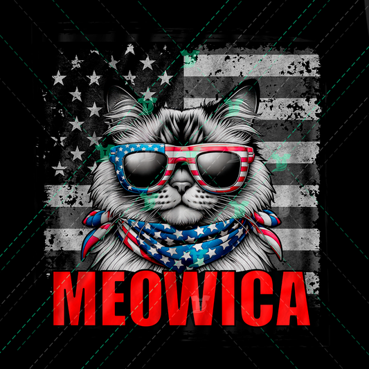 Thumbnail for Ragdoll Meowica 1200