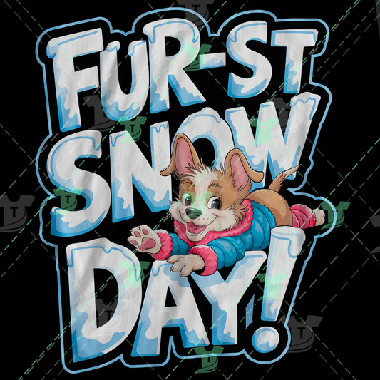 Thumbnail for Furst Snow Day