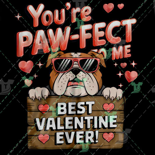 Thumbnail for You Are Paw Fect To Me Best Valentine Ever