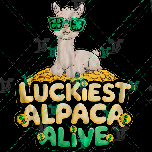 Thumbnail for Luckiest Alpaca Alive