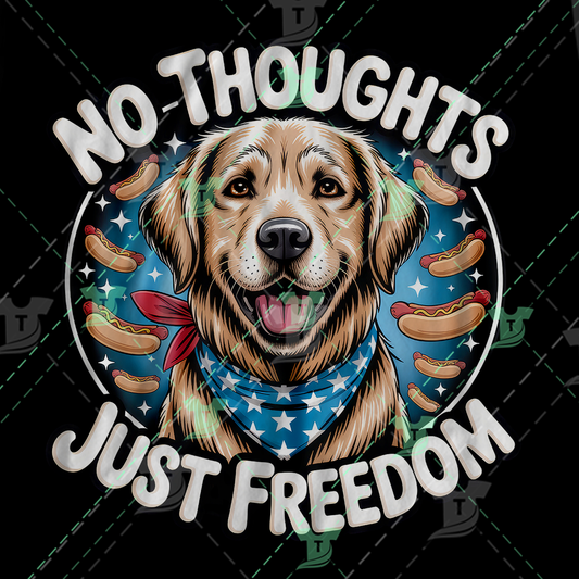 Thumbnail for No Thoughts, Just Freedom