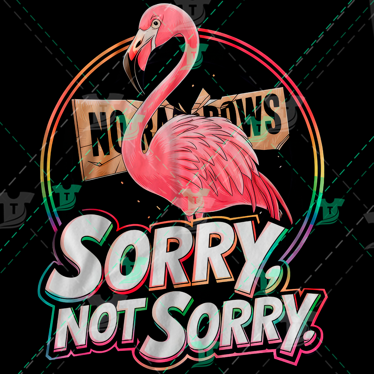 Thumbnail for Sorry Not Sorry