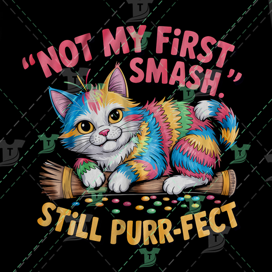 Thumbnail for Not My First Smash, Still Purr Fect