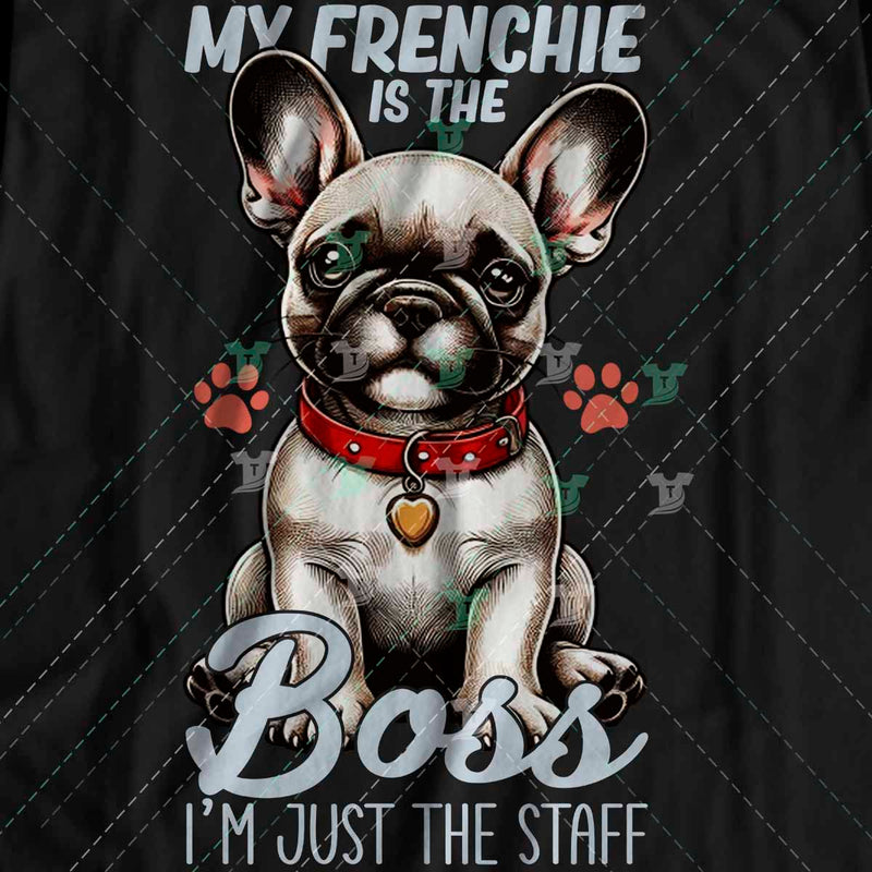 My Frenchie is the boss