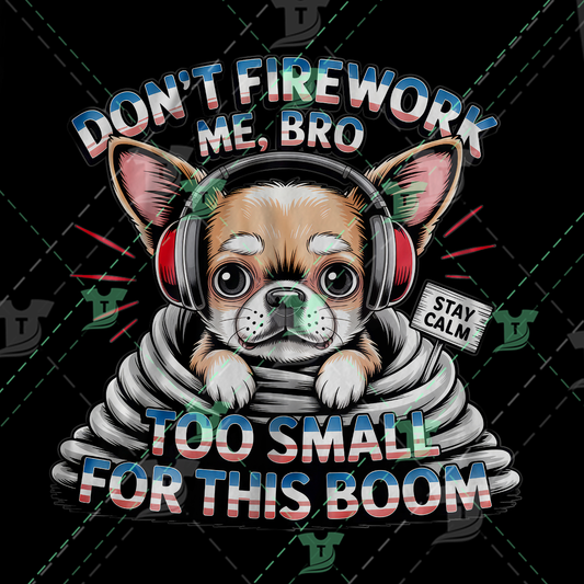 Thumbnail for Dont Firework Me Bro, Too Small For This Boom
