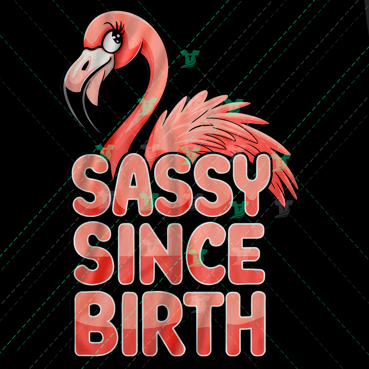 Thumbnail for Sassy Since Birth