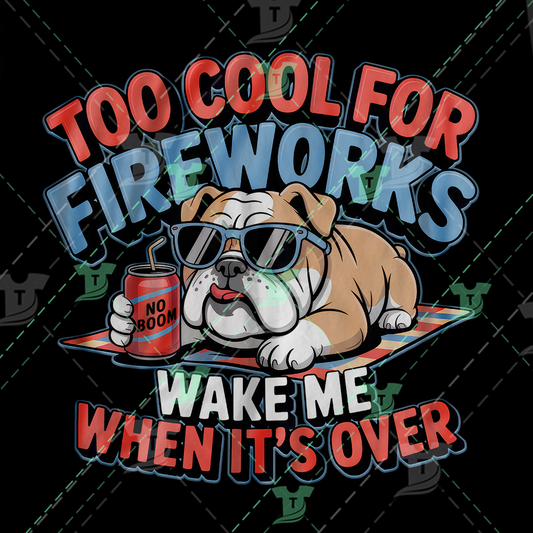Thumbnail for Too Cool For Fireworks Wake Me When Its Over