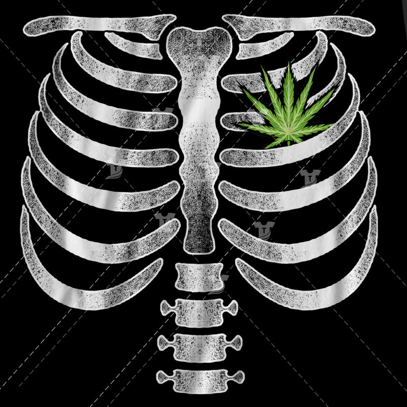 Skeleton weed leaf