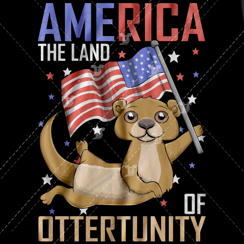 America the land of