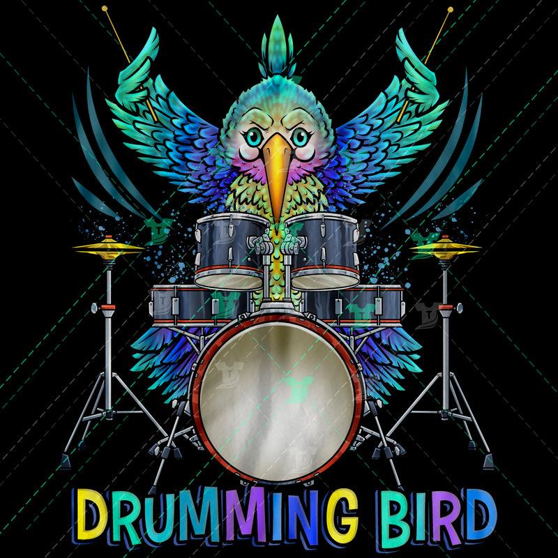 Humming Drumming Bird