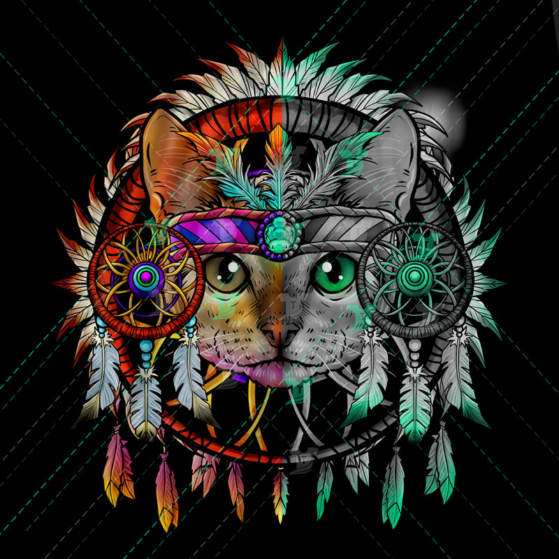 Native american cat