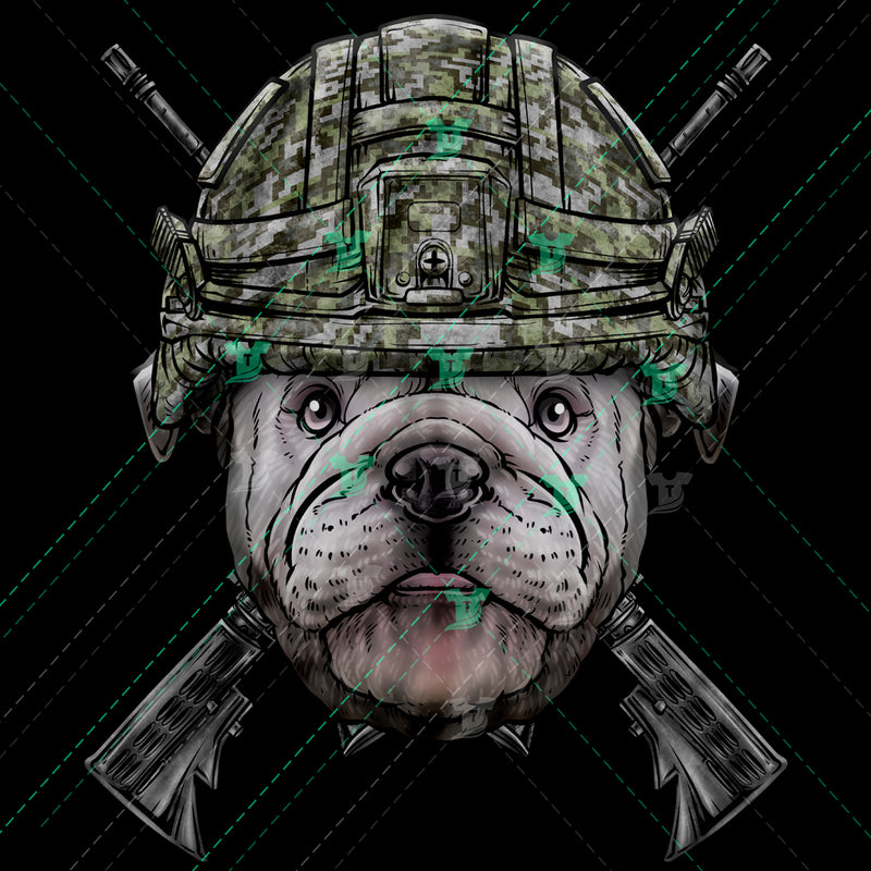 army english bulldog