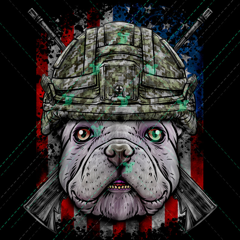 army french bulldog white