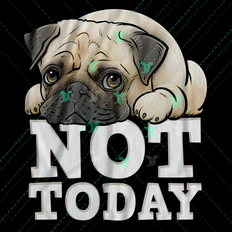 Pug not today