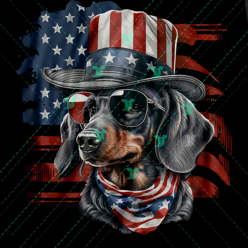 patriotic dachshund